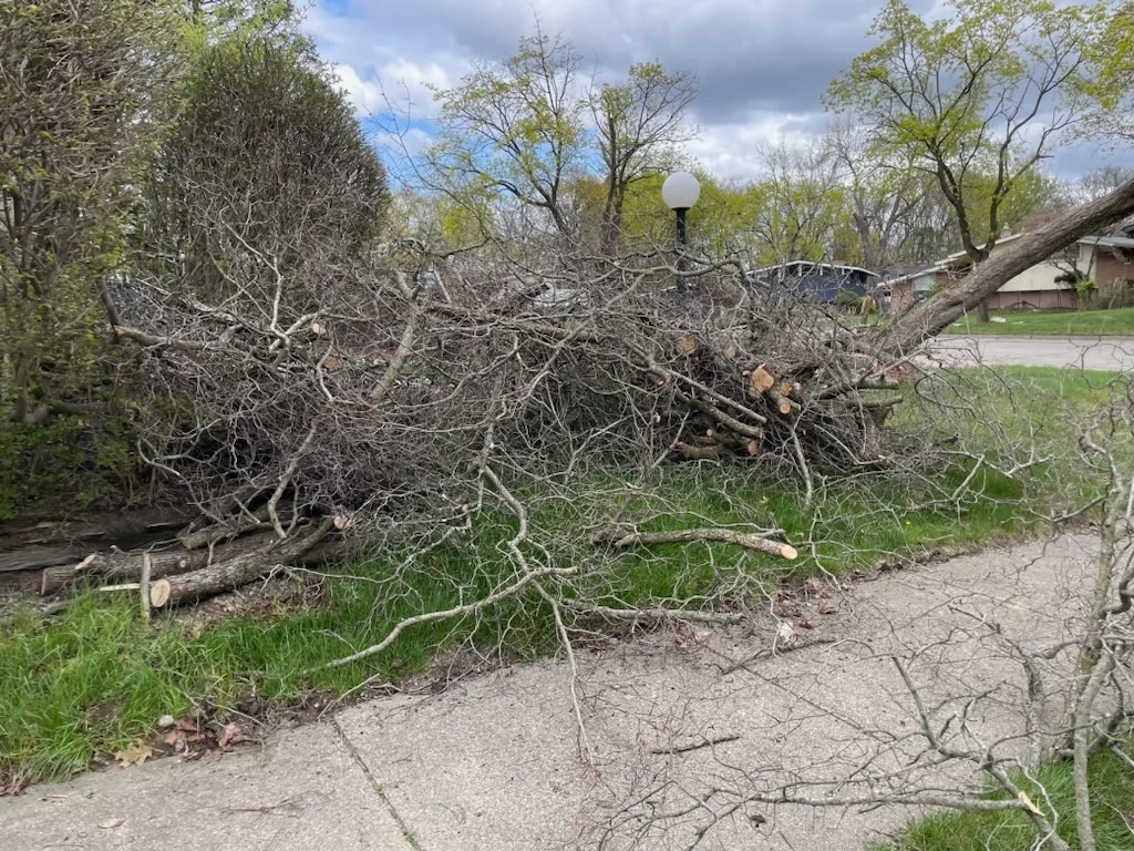 Brush & Tree Debris Removal on a Central Florida property