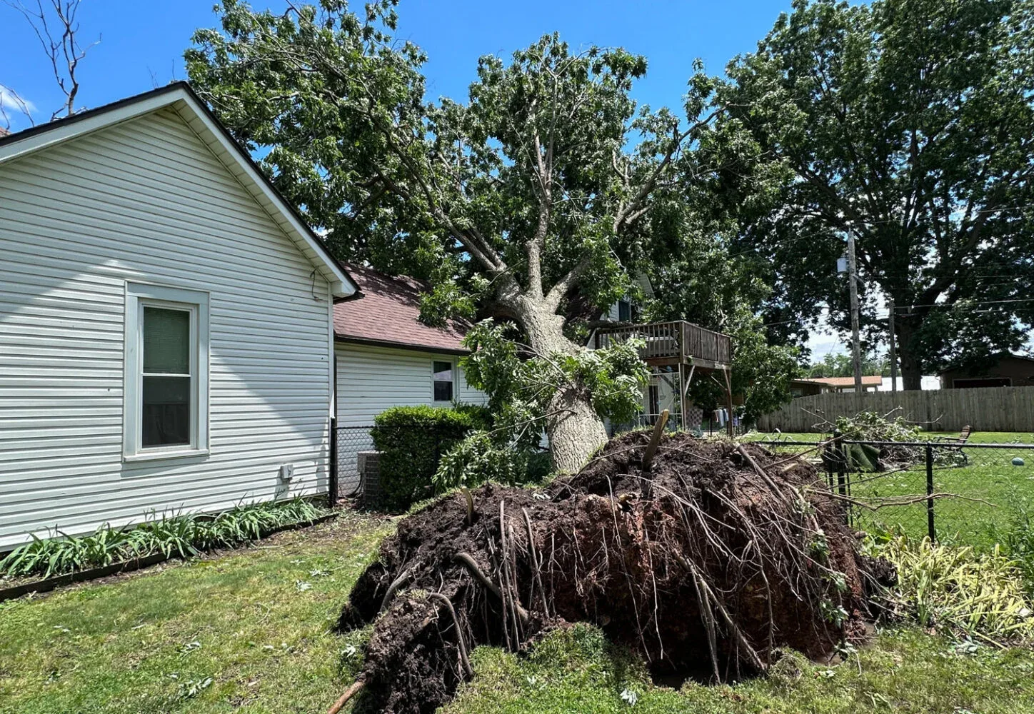 Storm Debris Removal on a Central Florida property